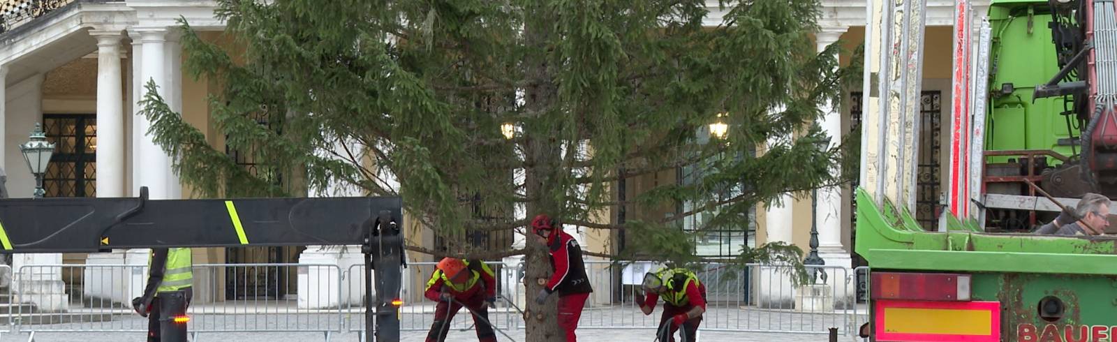 Weihnachtsbaum: "Wir sind die Ersten"