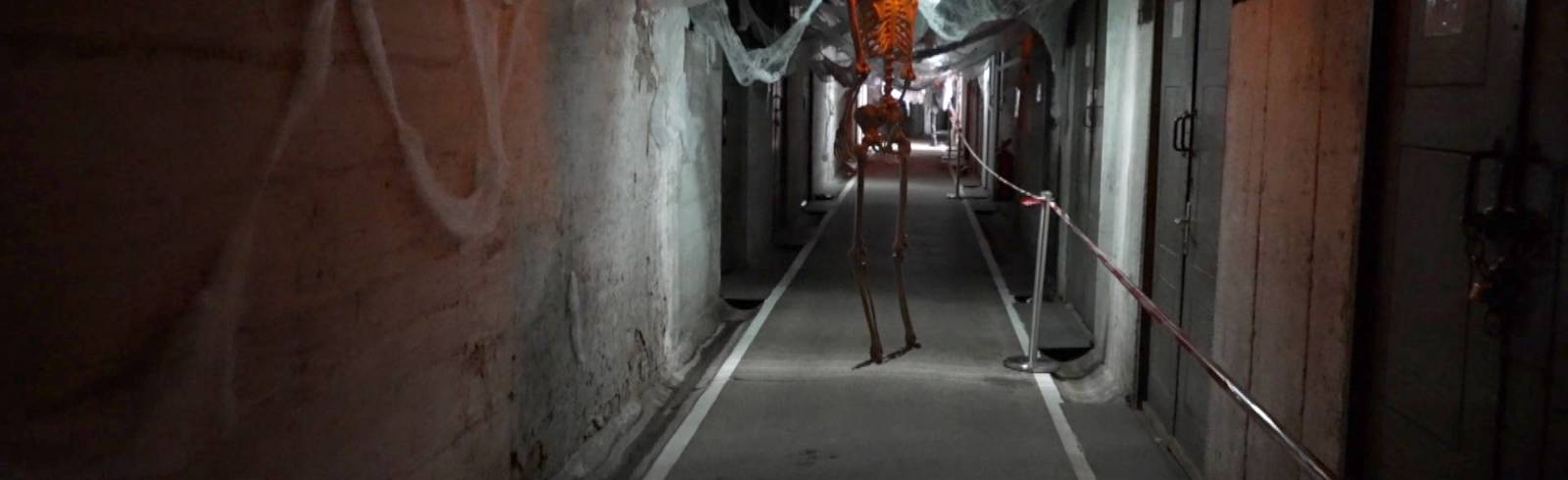 Halloween: Wo es in Wien gruselt