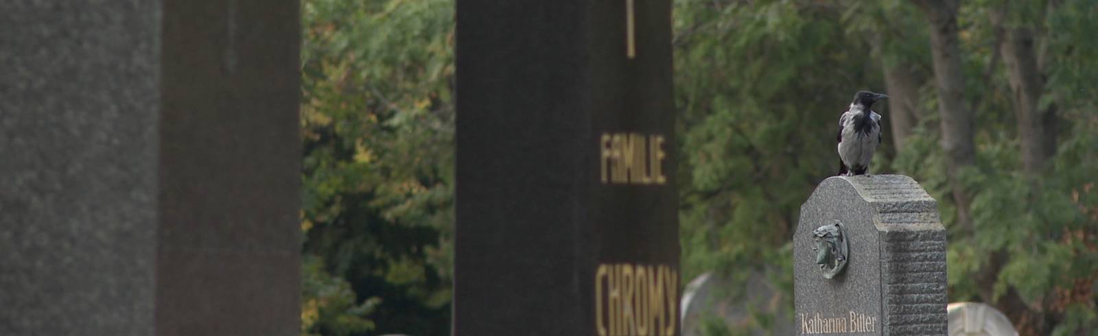 Friedhöfe: Sterben spürbar teurer