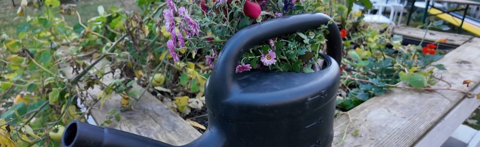 Bezirksflash: Preis für Klinik Hietzing