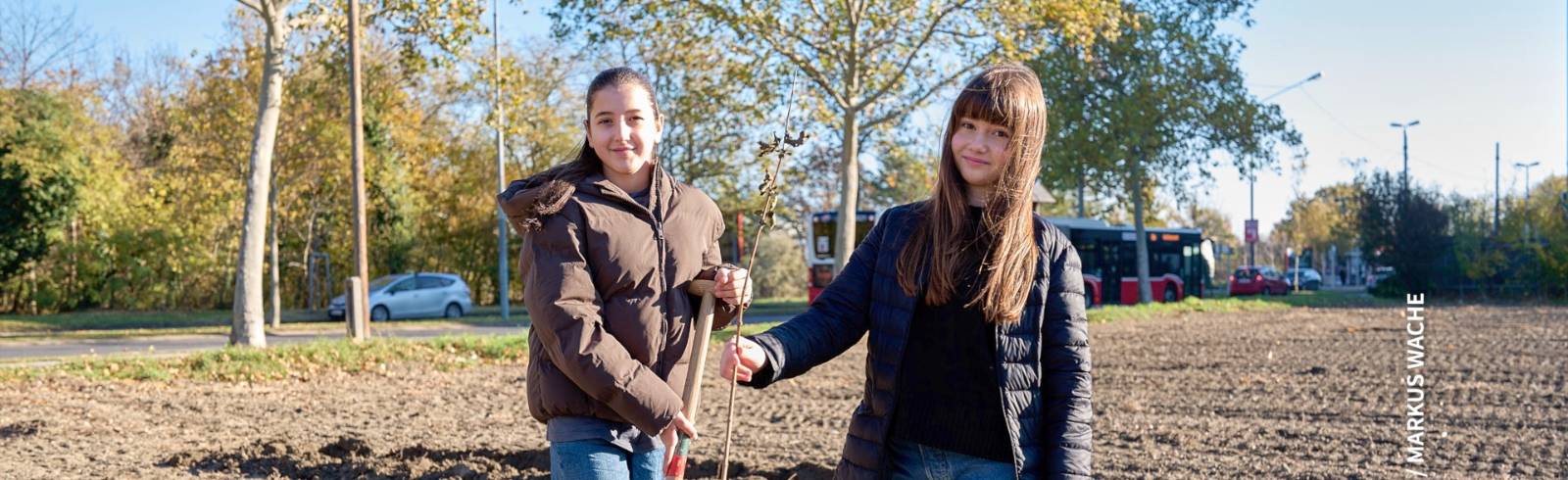 Bezirksflash: Neuer Wald in der Donaustadt