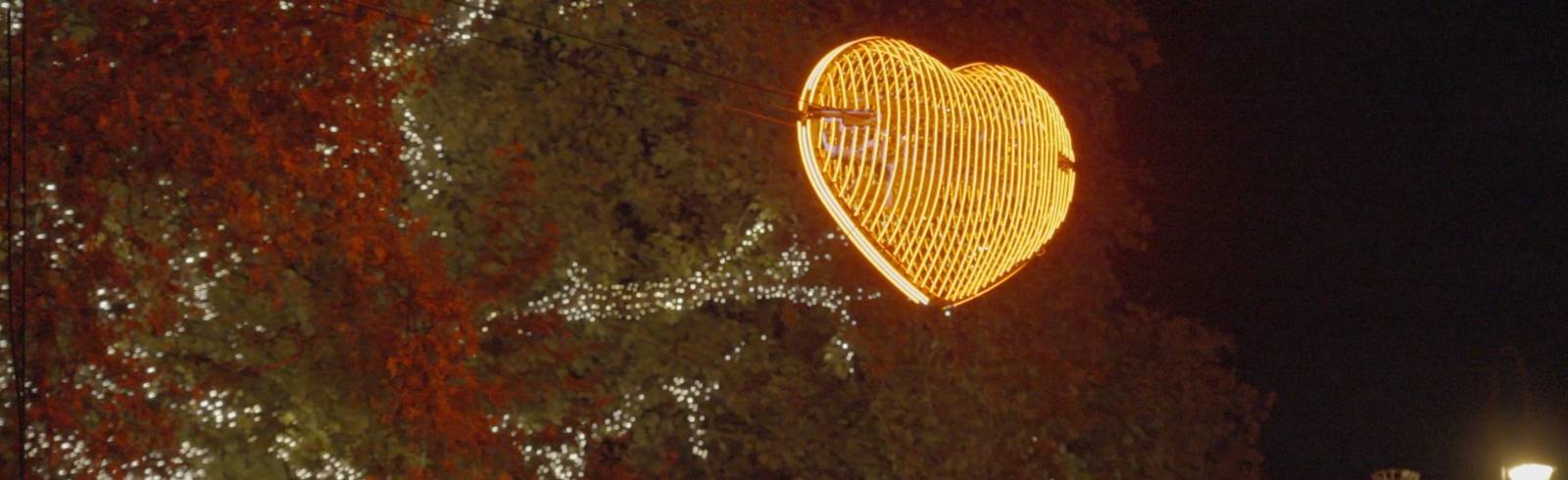 Wiener Herzerlbaum leuchtet wieder