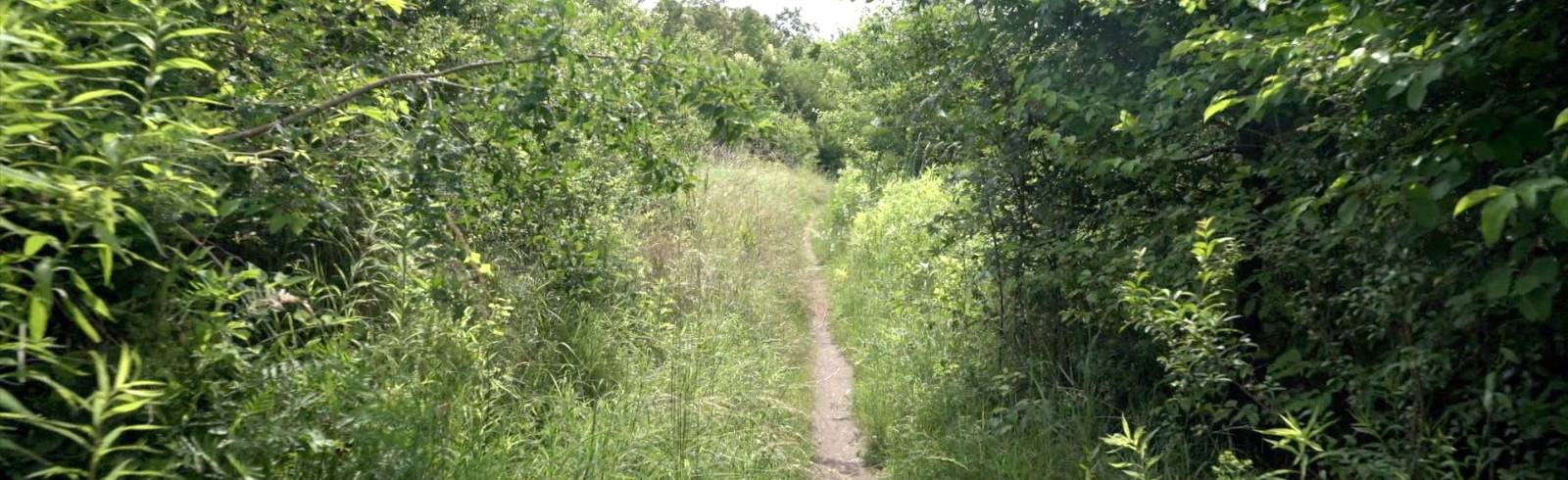 Breitenlee: Ab sofort Natura 2000 Europa-Schutzgebiet