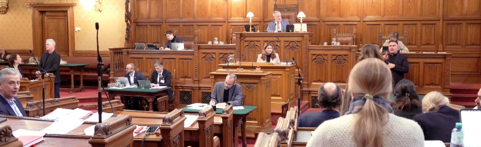 Wie wird Wiens Budget 2026?