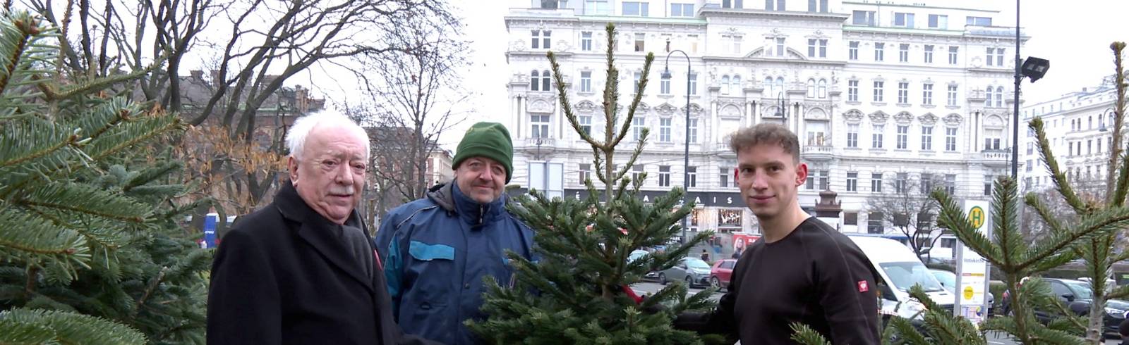 Spendenaktion: Weihnachtsbäume für die Volkshilfe