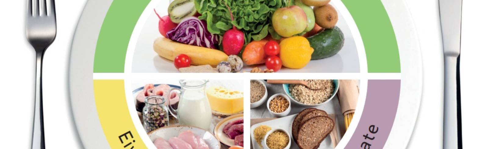 „Gesunder Teller“ erleichtert gesunde Ernährung im Alltag