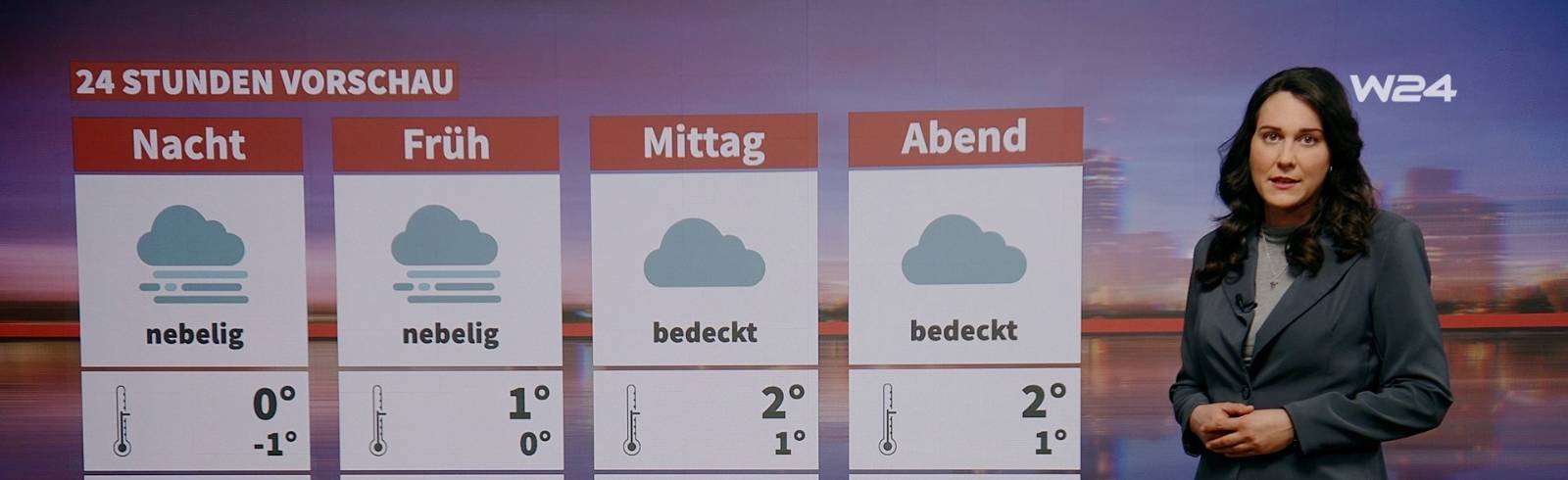 24 Stunden Wien Wetter: Grau, Temperaturen um Null Grad