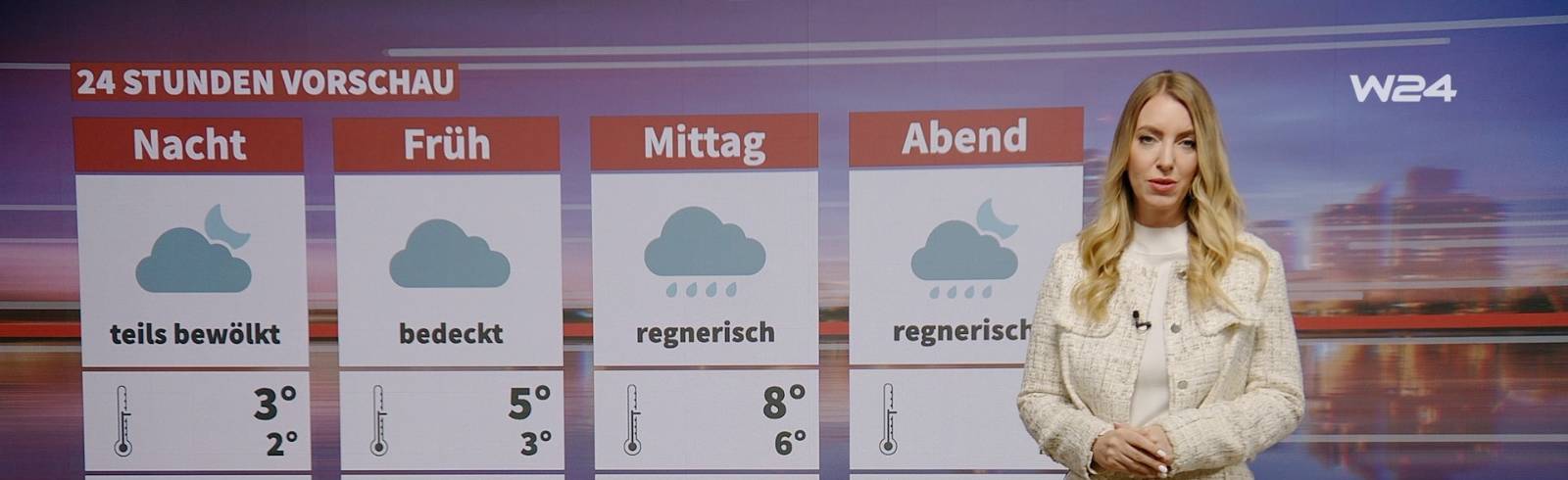 24 Stunden Wien Wetter: Nebelig-trüb