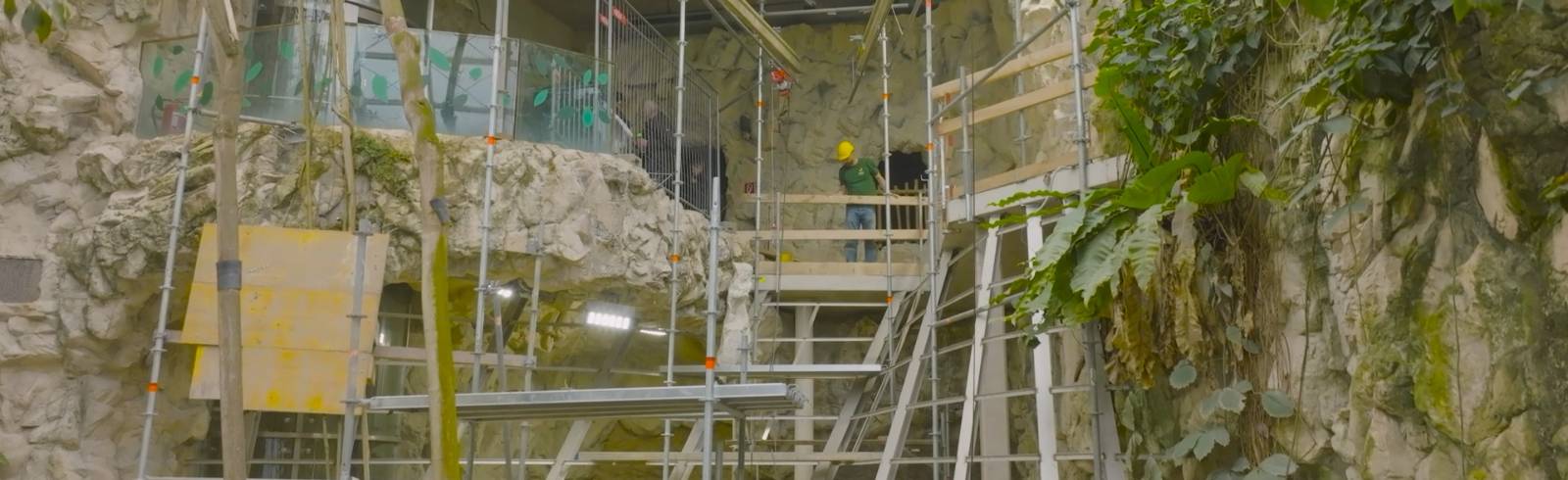 Bezirksflash: Riesige Fledermausanlage für Schönbrunn