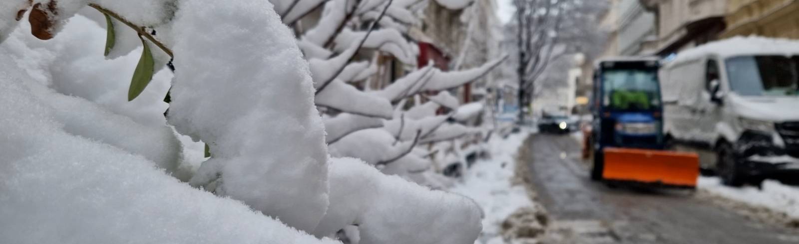 Kurz, heftig und weiß: Wien wacht im Winterwunderland auf