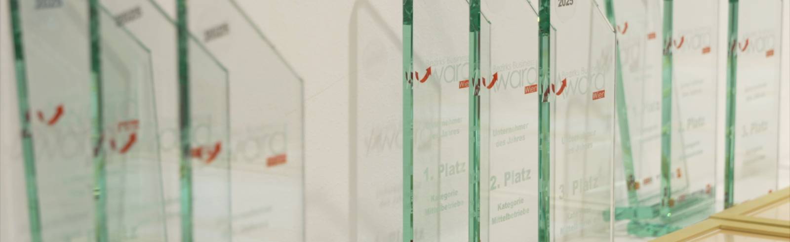 Bezirks Business Awards: Die große Abschlussgala