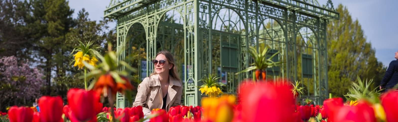 Frühjahrsstart in den Blumengärten Hirschstetten