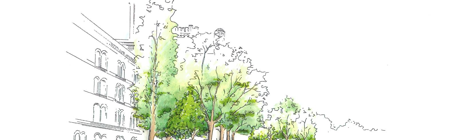 Neues Begrünungsprojekt: „Wiener Straucherl“