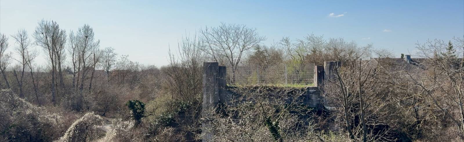 Breitenlee: Wie läuft Wiens größtes Renaturierungsprojekt?