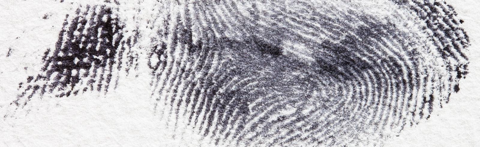 Polizei: Fingerabruck-Scan über Diensthandy