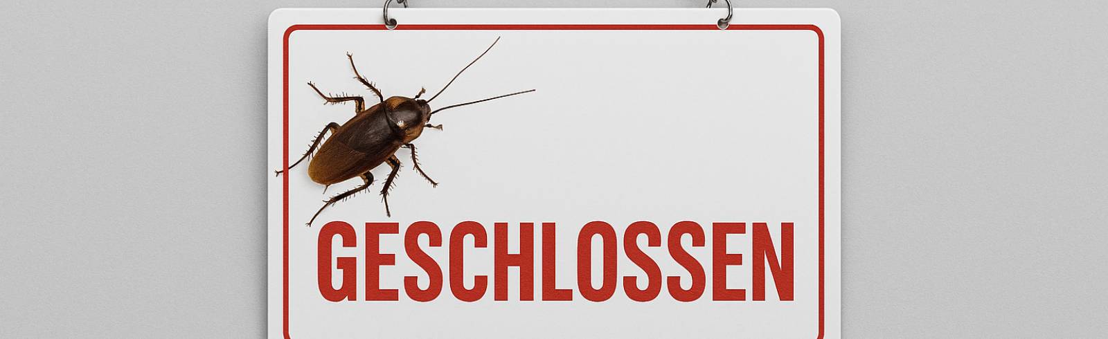 Schwerpunktaktion: Brigittenauer Bäckerei wegen Küchenschaben geschlossen