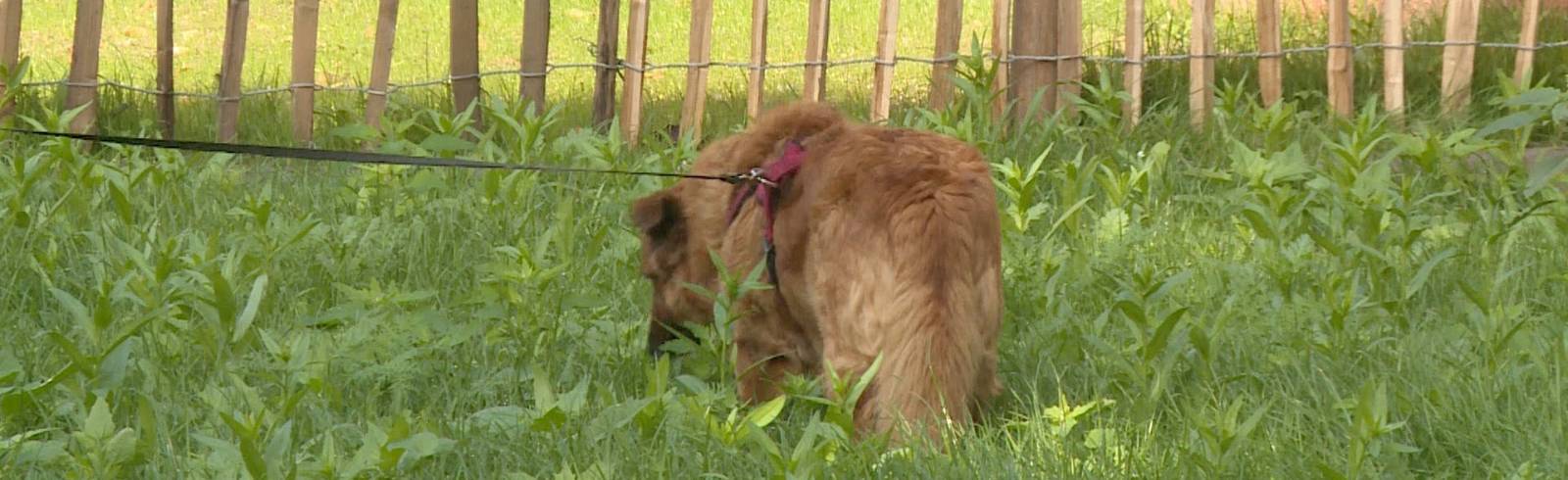 Bezirksflash: Aufklärung im Klieberpark