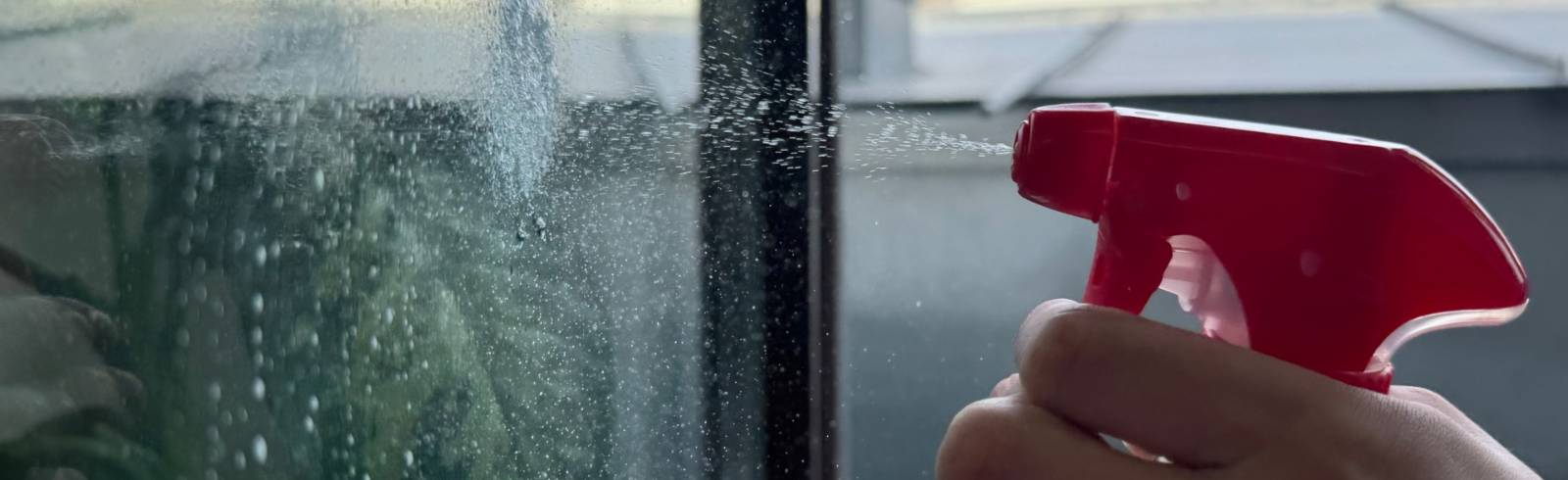 Frühjahrsputz: "Saugen, Aufwischen, Wegräumen... Alles!"