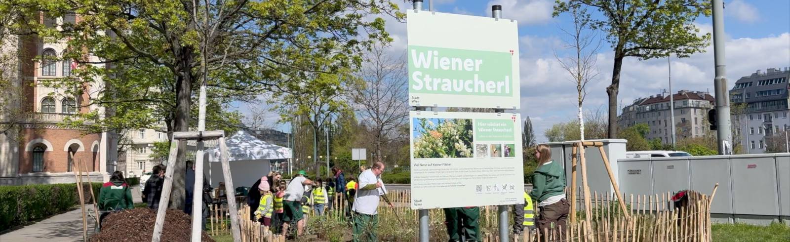 Erstes Wiener Straucherl jetzt am Alsergrund
