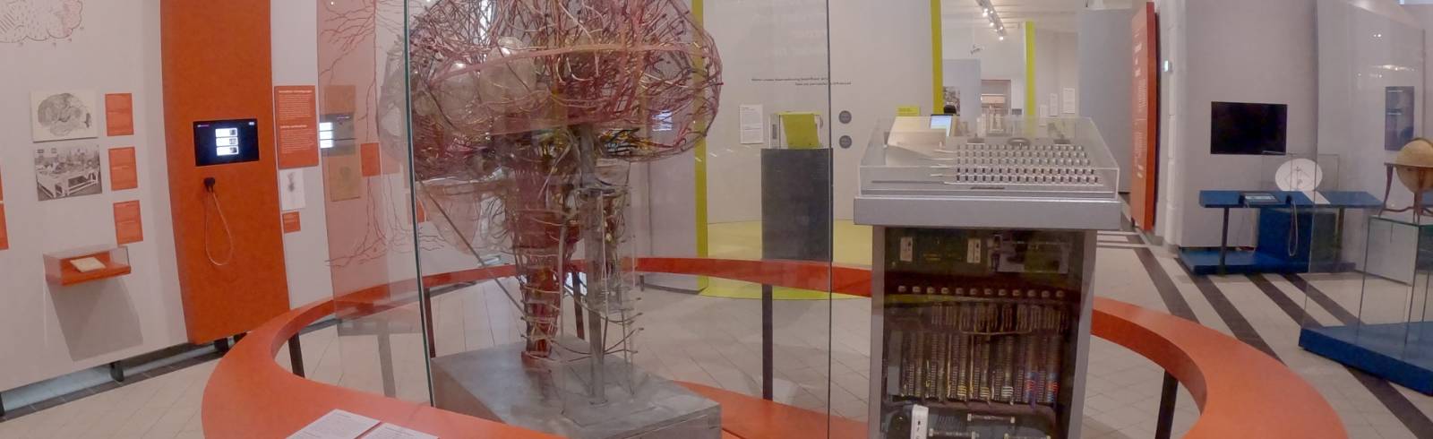 Wissenschaft: "Immer neugierig bleiben"