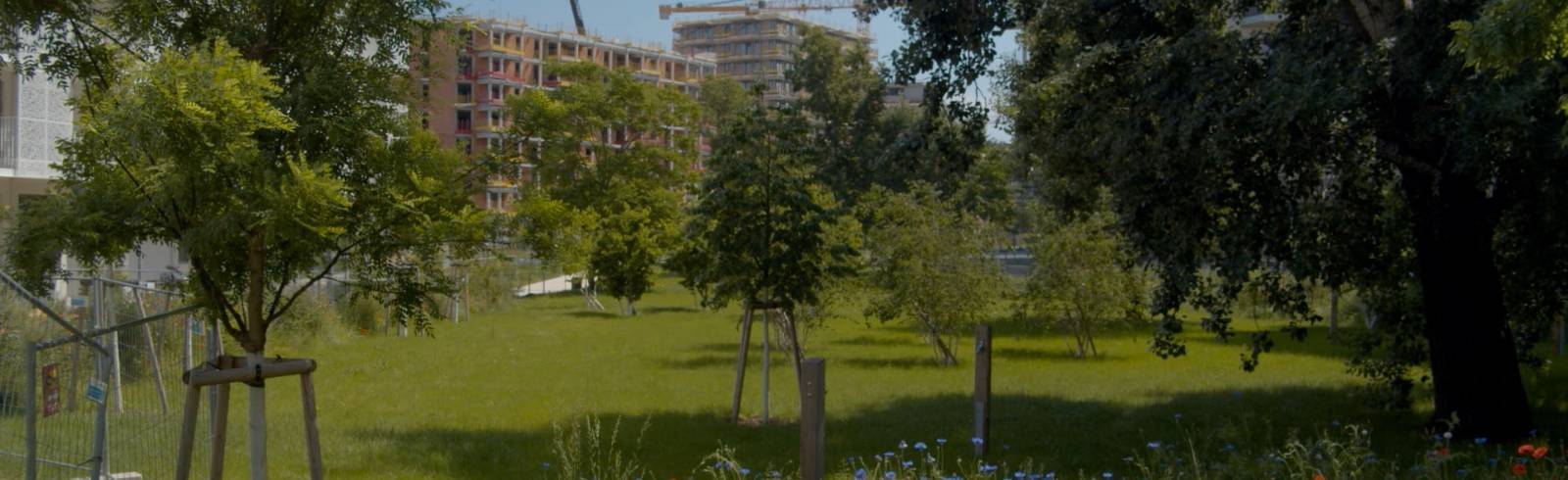 Bezirksflash: Bert Brecht-Park bald fertig