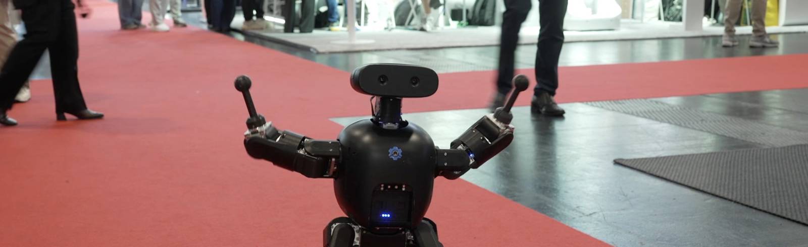 Wenn Roboter durch Wien ziehen