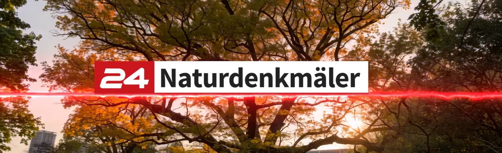 Naturdenkmäler - #846 - Stieleiche im Prater