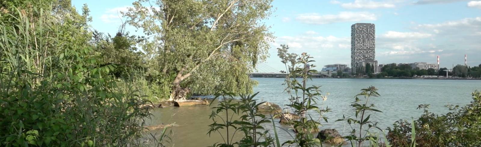 W24-Stadtbarometer zum Sommer: 4 von 10 werden nicht verreisen