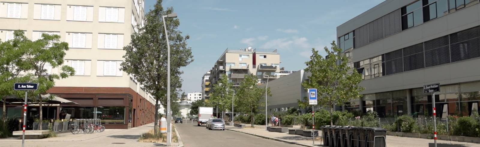 Raus aus dem Asphalt: Bäume für Schulvorplatz