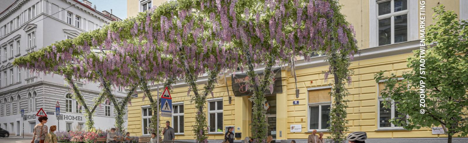 Bezirkflash: Klimahimmel für VS Corneliusgasse