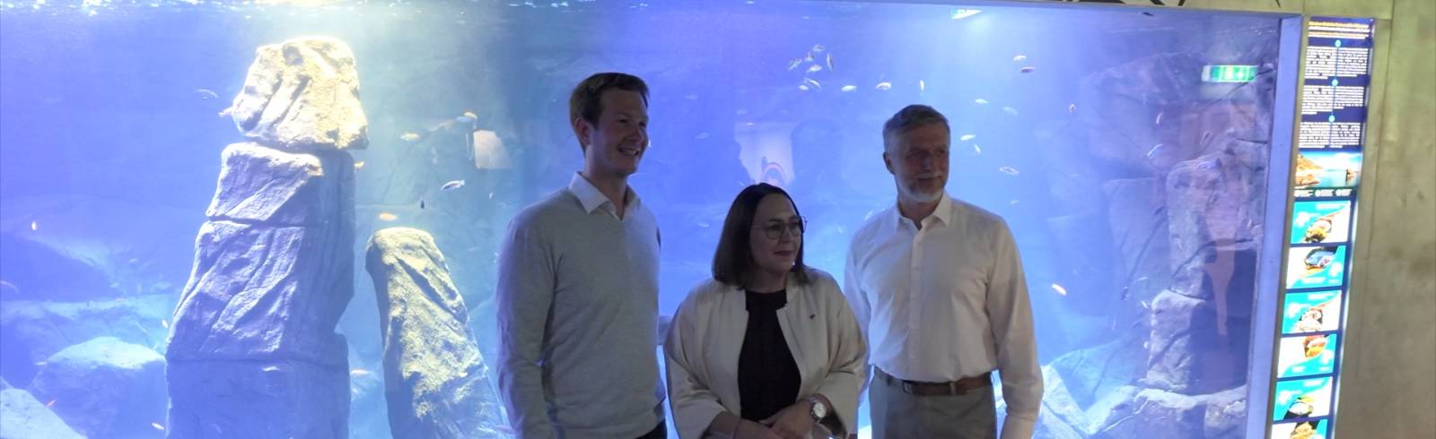 Haus des Meeres: Neues Becken mit „rotem Zebra“