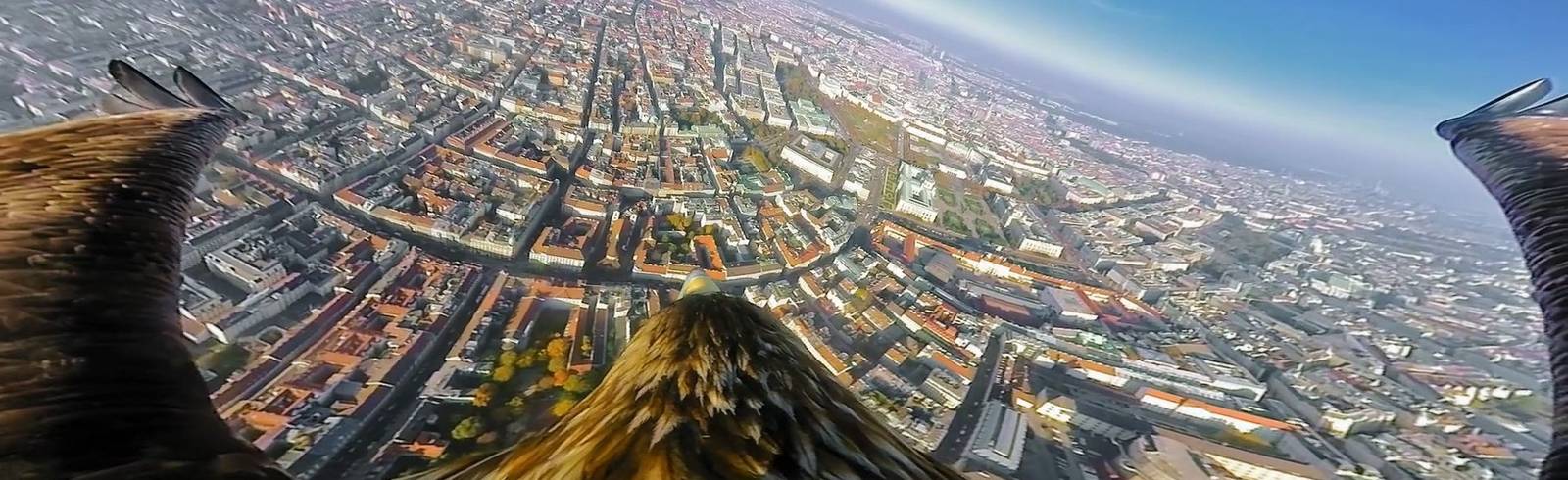 Wien Tourismus lässt die Adler steigen