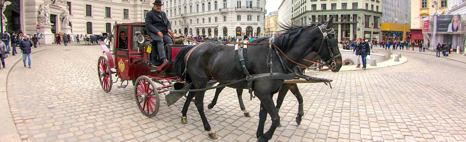 Tierschutzverein: Strengere Fiaker-Kontrollen