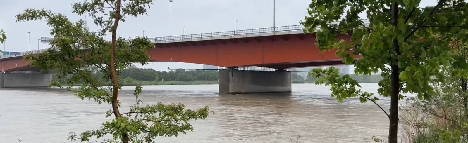 Dauerregen: Donau führt Hochwasser