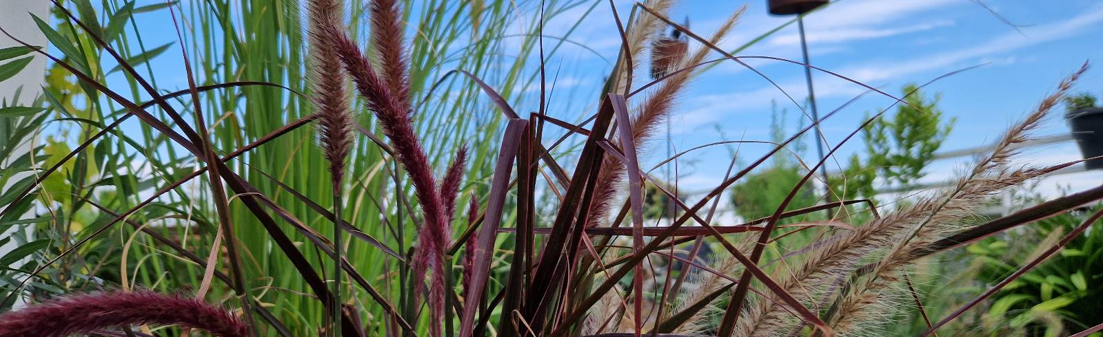 Wetter: Milder Start in die neue Woche