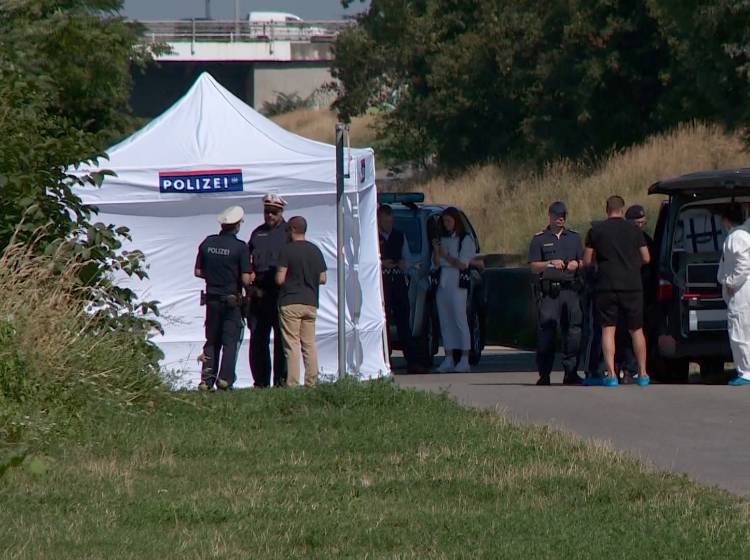 Leichenfund in Neuer Donau