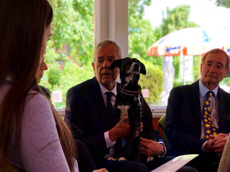 Wie ist es um Europas Zukunft bestellt?