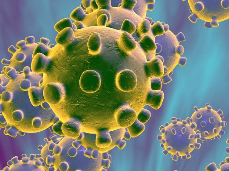 Virus-Mutation in 12 Prozent der Wiener Proben