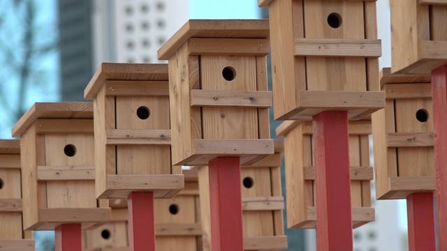 Nistkästen für Vögel und Kunstinteressierte