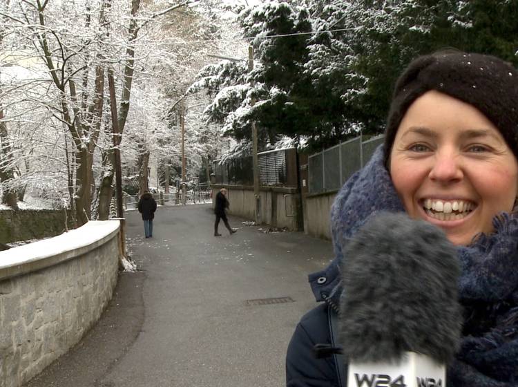Schneemannsuche im Dehnepark