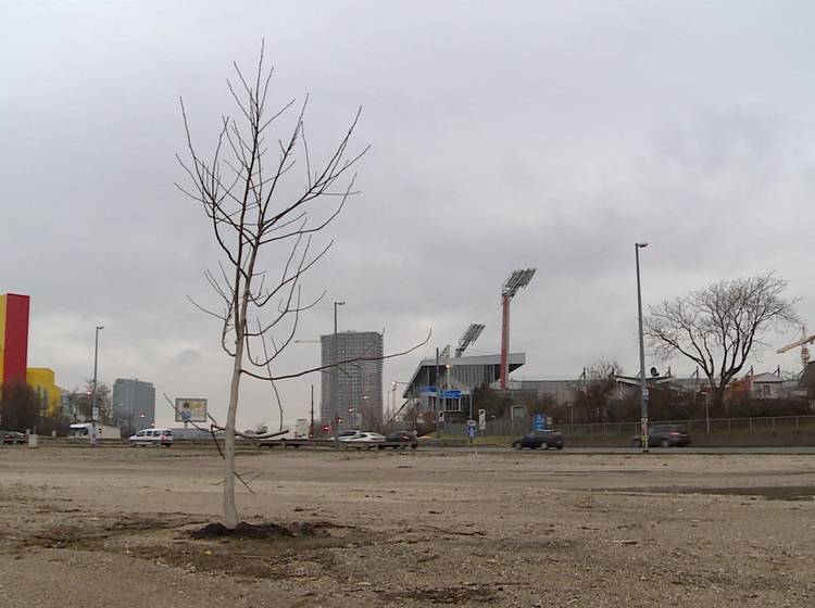 Verteilerkreis: Zwischenlösung statt Busterminal
