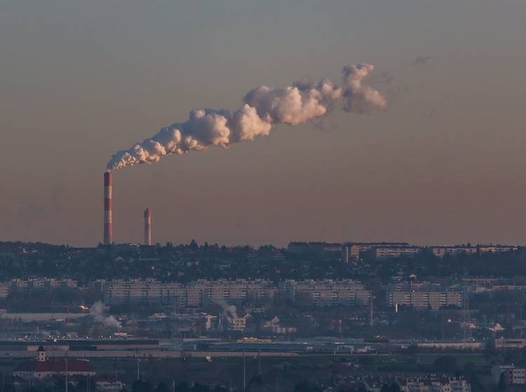 Arbeitslosigkeit: Starker Rückgang in Wien