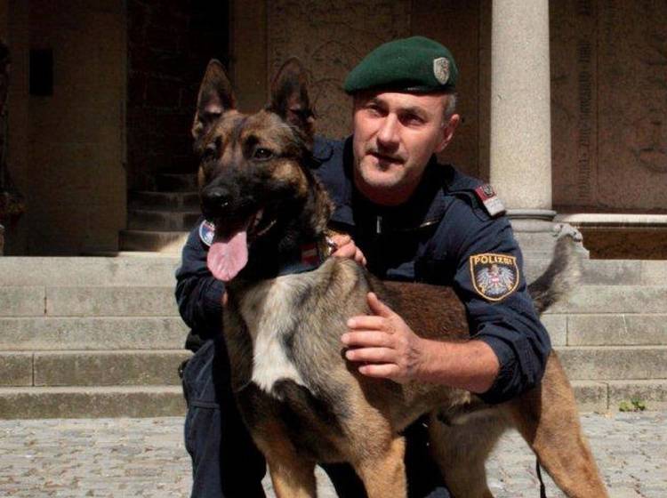 Polizeihunde: "Schnüffelbilanz"
