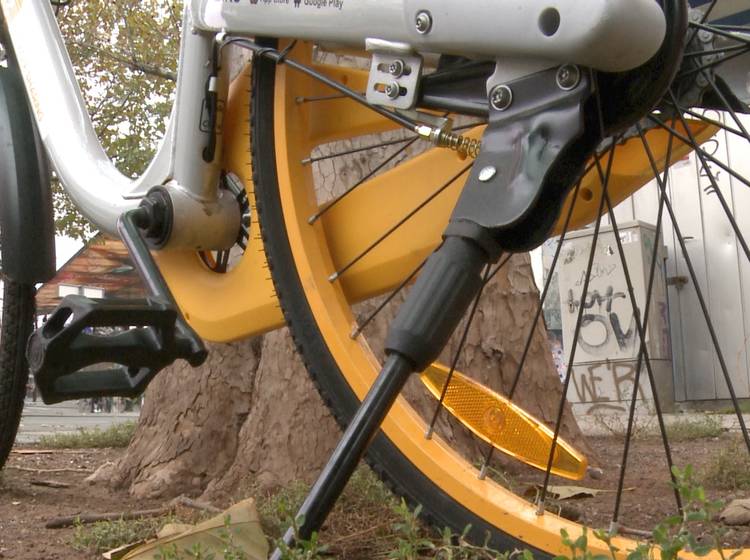Leihräder in Wien: Ofo schon abgezogen, oBikes noch in der Stadt