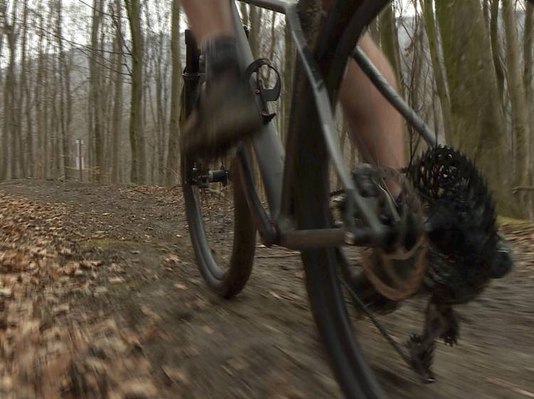 Mountainbike: Über Stock und Stein im Wienerwald