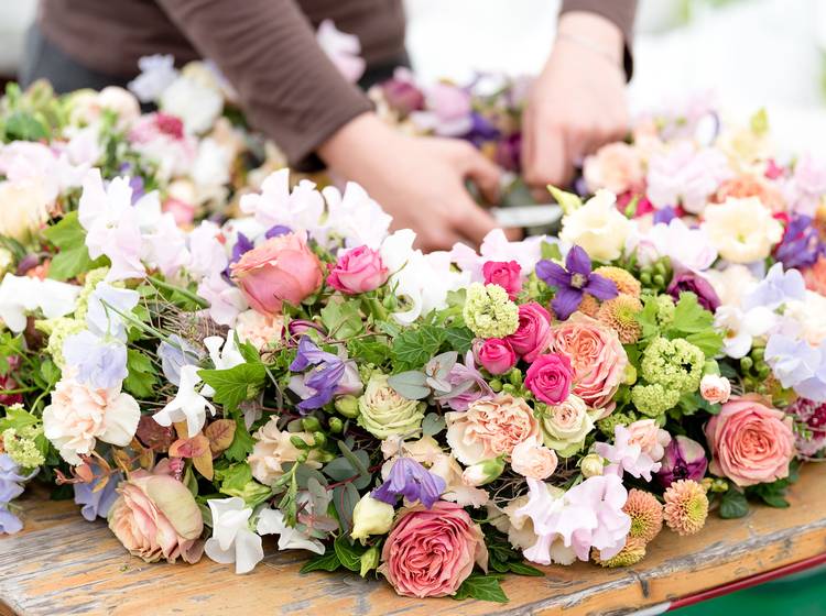 Großes Angebot für kleine Gärten