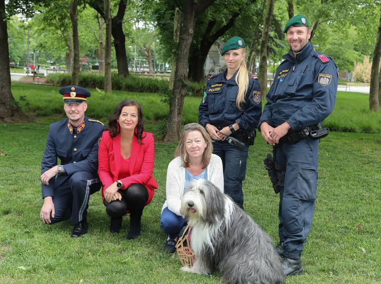 Hunde: Stadt startet Schwerpunktkontrollen