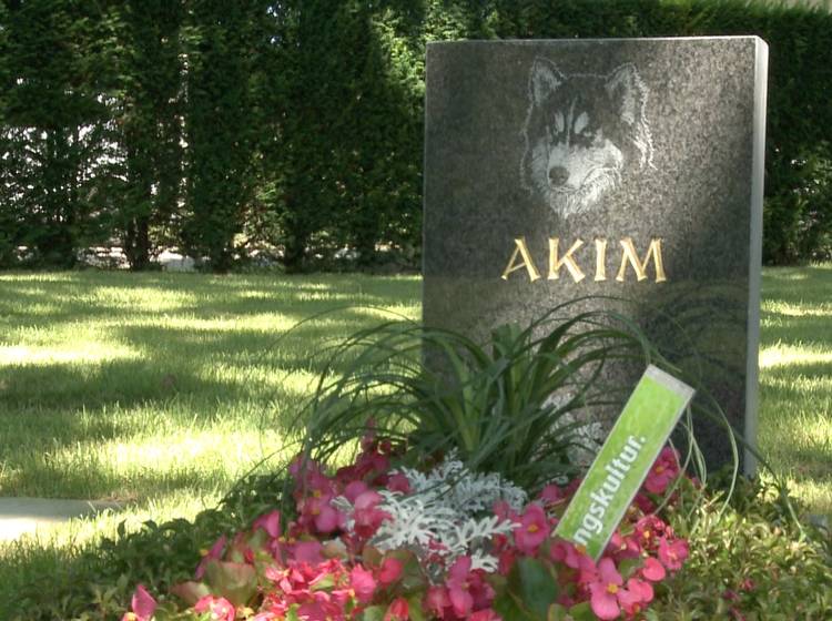 Erster Friedhof für Mensch und Tier in Wien eröffnet