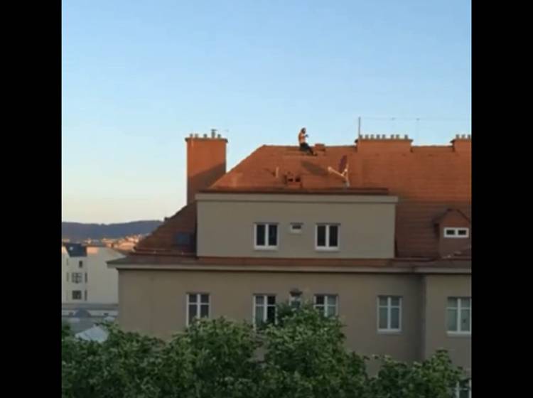 "Ziegelwerfer" hielt Polizei in Atem