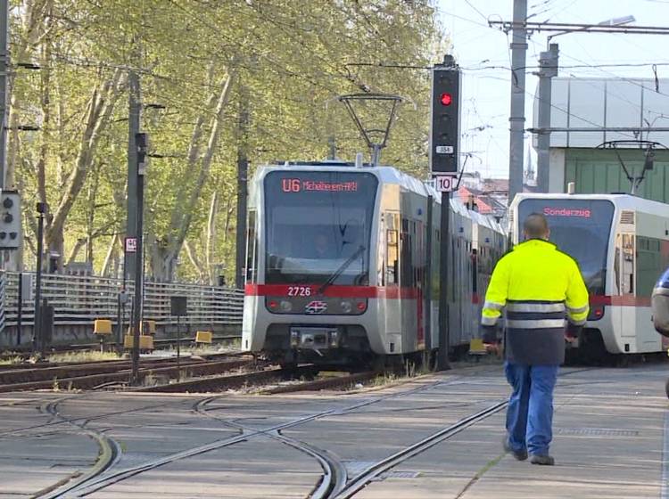 U6: Abstimmung über verbotene Speisen startet